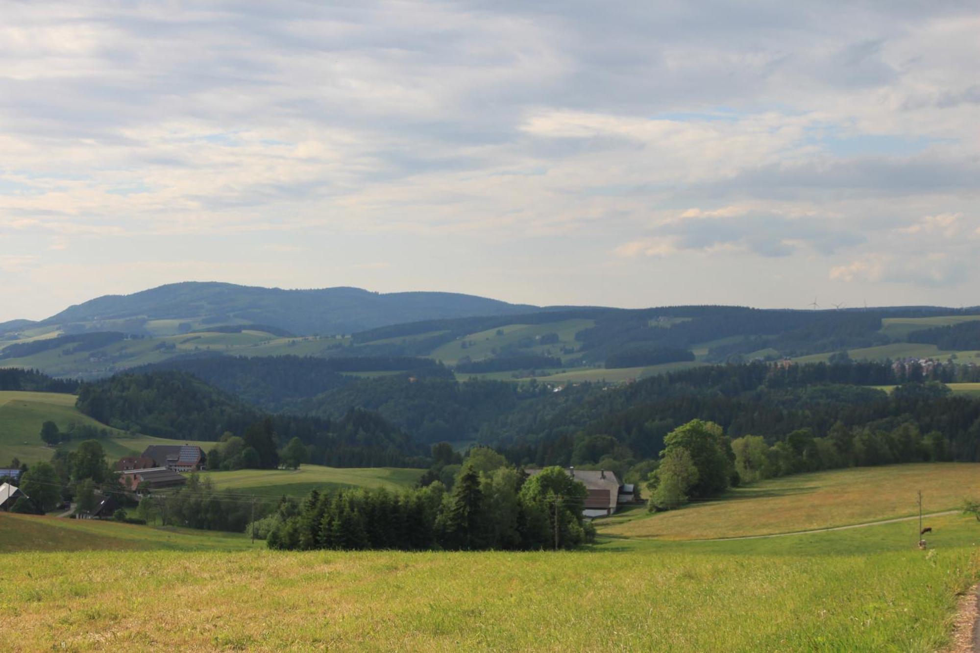Ferienwohnungen Rebstock Schonach im Schwarzwald Zewnętrze zdjęcie